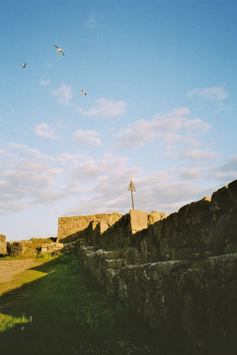 4imm019_21