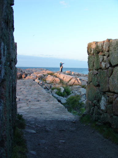 5DSC00699