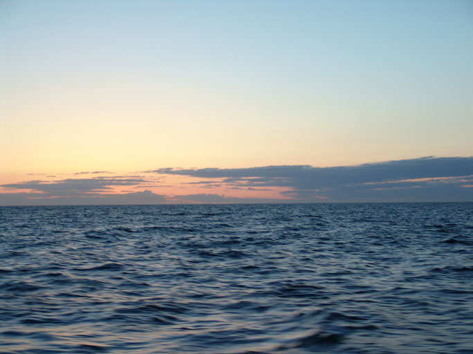 9DSC00705